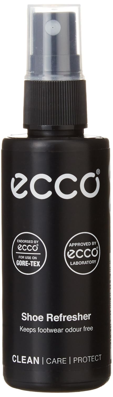 shoe refresher ecco