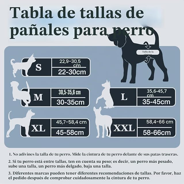 Foto 5 de 7 de Dono Bragas Reutilizables para Perros machos, 3 uds Bragas para Perros, L