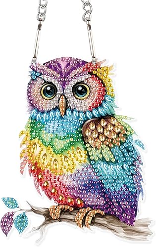 Animal colorido búho DIY acrílico diamante pintura arte arte kits de colgante de diamantes de imitación en forma especial diamante redondo arte