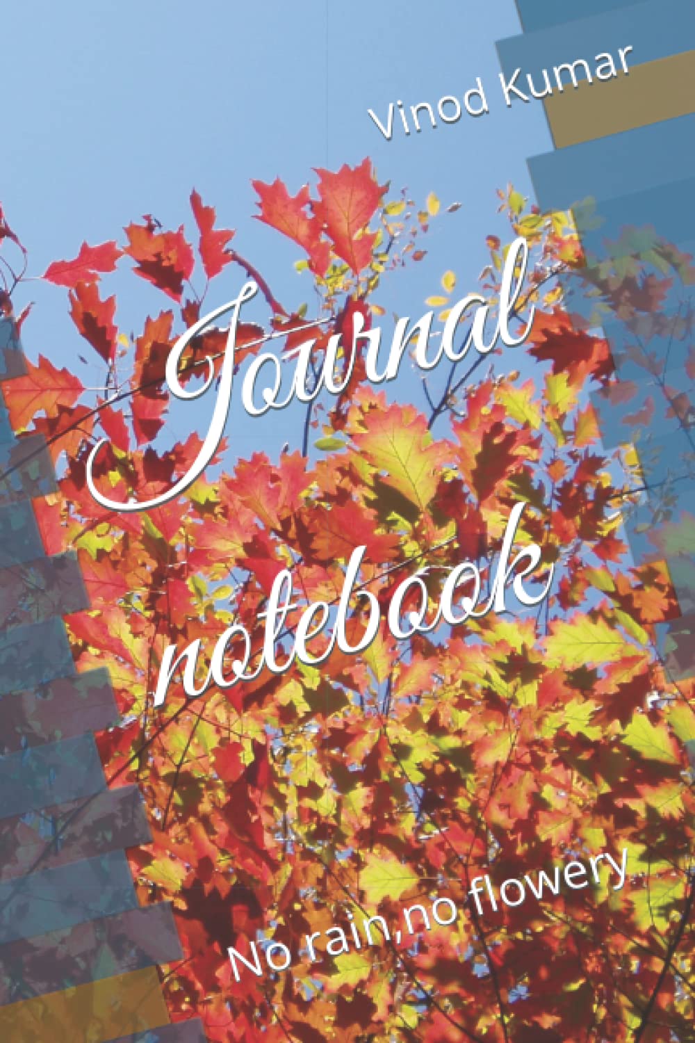 Journal notebook: No rain,no flowery