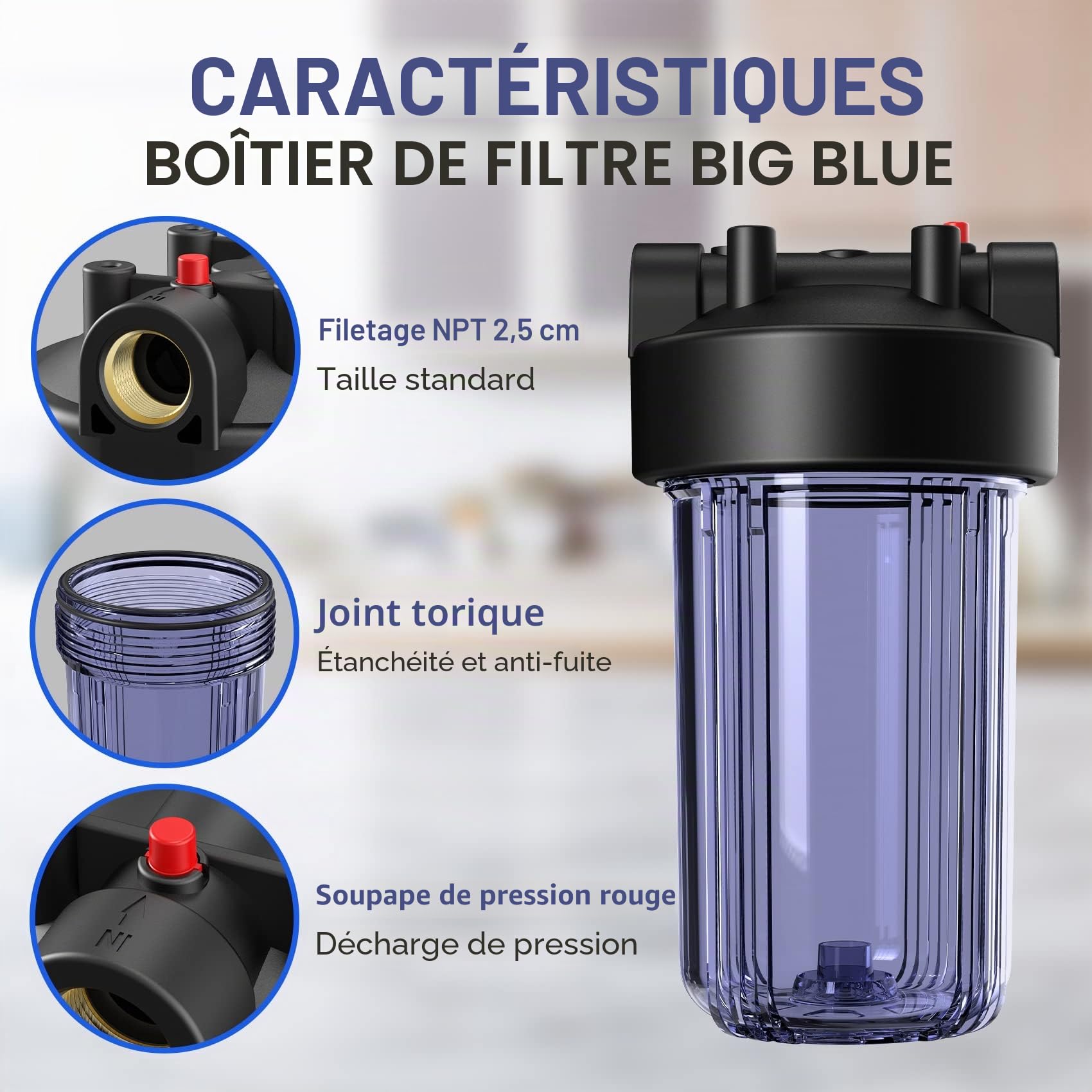 SimPure DB10C Système de Filtration d'eau Domestique avec Support de Fixation et Clé, pour Toute la Maison, Taille 10" x 4,5", Entrée/Sortie 1"