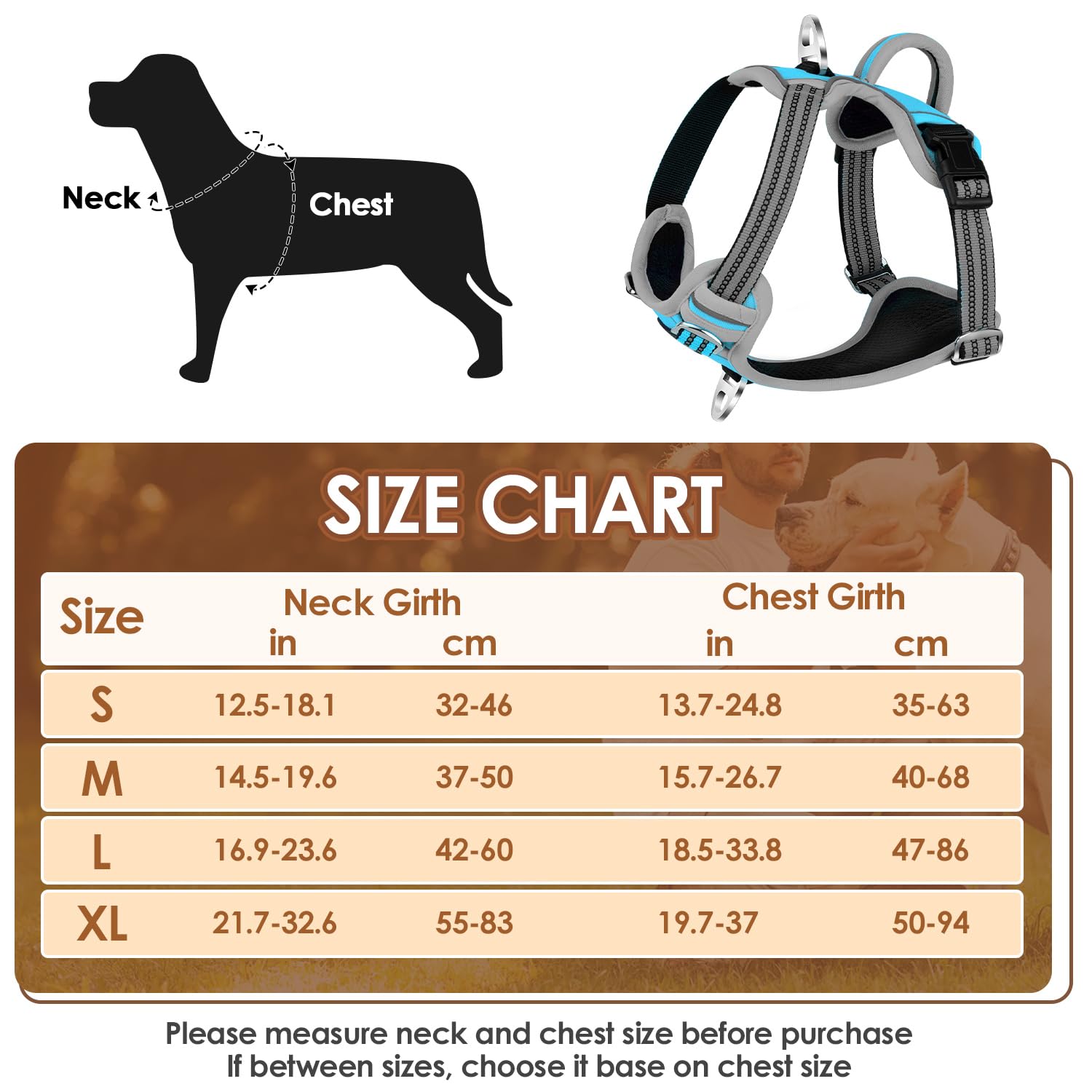 Eyein Dog Harness Small Dog, Anti Pull Adjustable Heavy Duty Pet Vest Harness with 2 Clips, Easy Control Escape Proof Puppy Harness with Soft Padded Handle Reflective for Outdoor Training Walking, S - Image 2