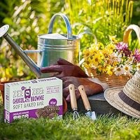 Vista 27 de Zee Zees Barras suaves horneadas de cereza de cacao, 1.3 onzas, paquete de 30, sin nueces, grano entero, seguras para la escuela, sobre la marcha