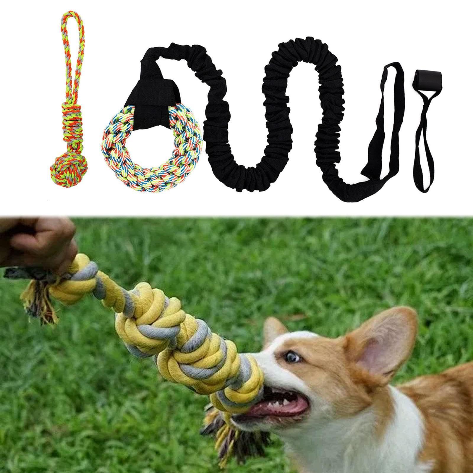 Gralara Bungee Zerrspielzeug für Hunde Im Freien, Leine mit Kauseil, Geeignet für Kleine Und Große Rassen, Bunter Ring