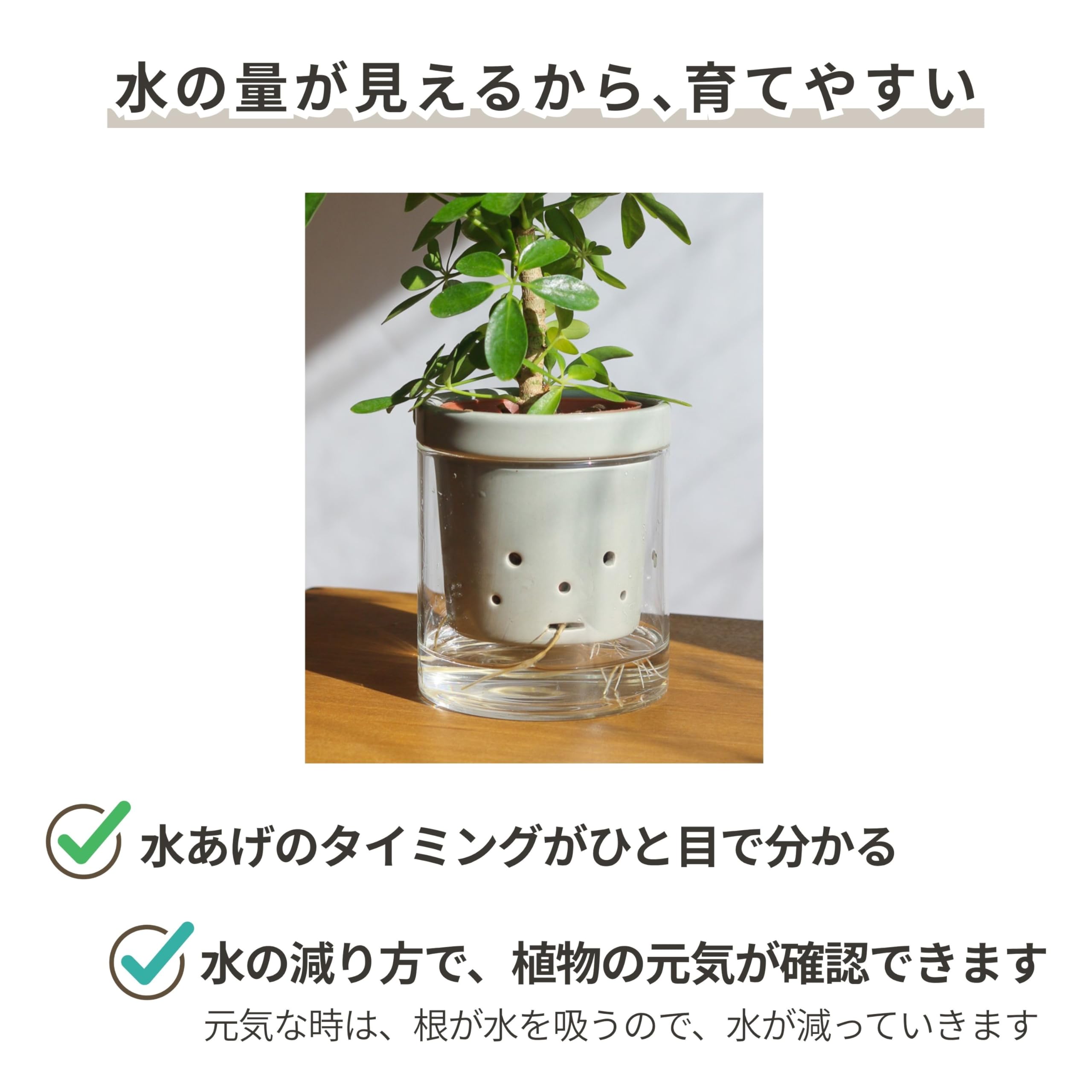 Amazon.co.jp: 根っこさん+つつ型 (ホワイト, Mサイズ) : DIY・工具