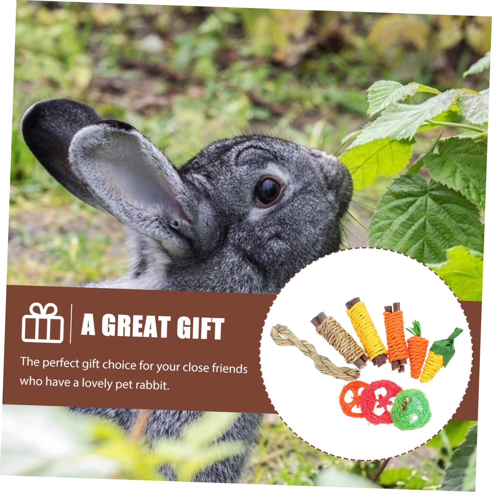 minkissy 4sätze Bunny Zahnpflege Spielzeug Set Teiliges Kauspielzeug Für Hamster Meerschweinchen Und Kaninchen Fördert Und Spielspaß Innenräumen