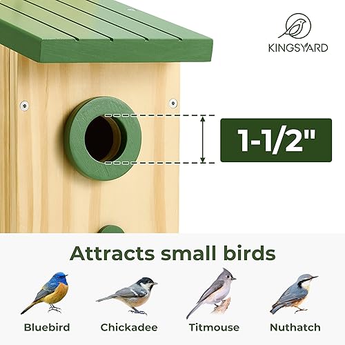 Miniatura 4 de Kingsyard Casa clásica para pájaros con protector de prdador, casa de observación de pollos de escredo de arándano, caja de anidación de madera para