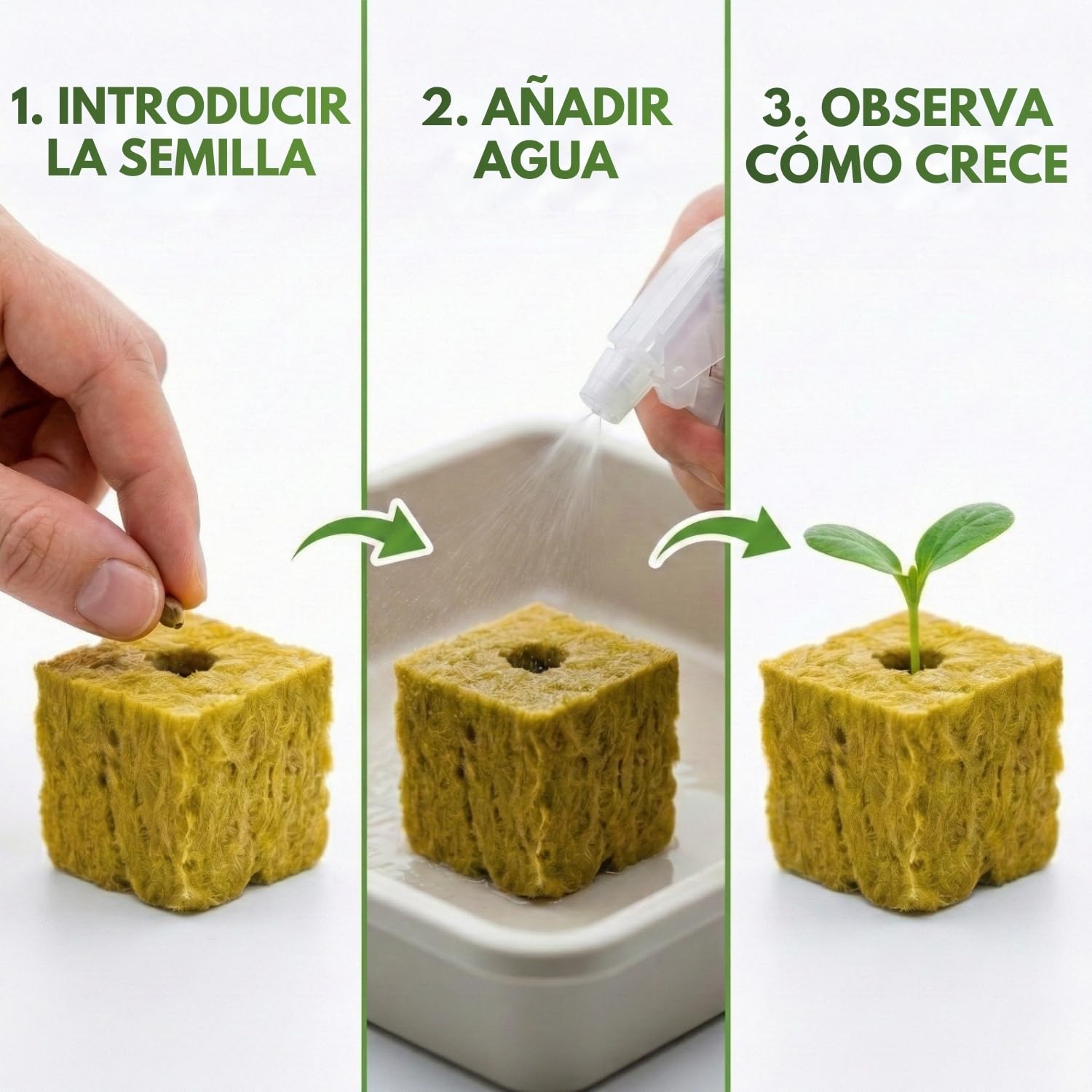 Lote de 100 Cubos de Lana de Roca Hidropónica (2,5 cm) para Germinación y Esquejes, Substrato Aireado Que Favorece el Crecimiento Rápido, Ideal para Semillas, Jardines Interiores y Exteriores