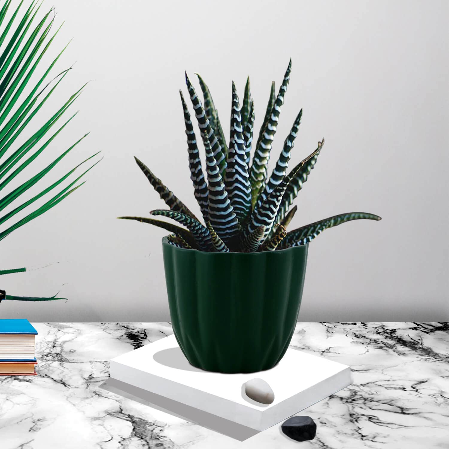 Lasaki Ruby Medium deep Jungle Ceramic Pots for Indoor Plants, Planters, Flower, Pots, gamla, Outdoor, Balcony, Home, Garden, Office Decor, Succulent Pot(H - 10 X D - 12 cm)(Plants not Included)