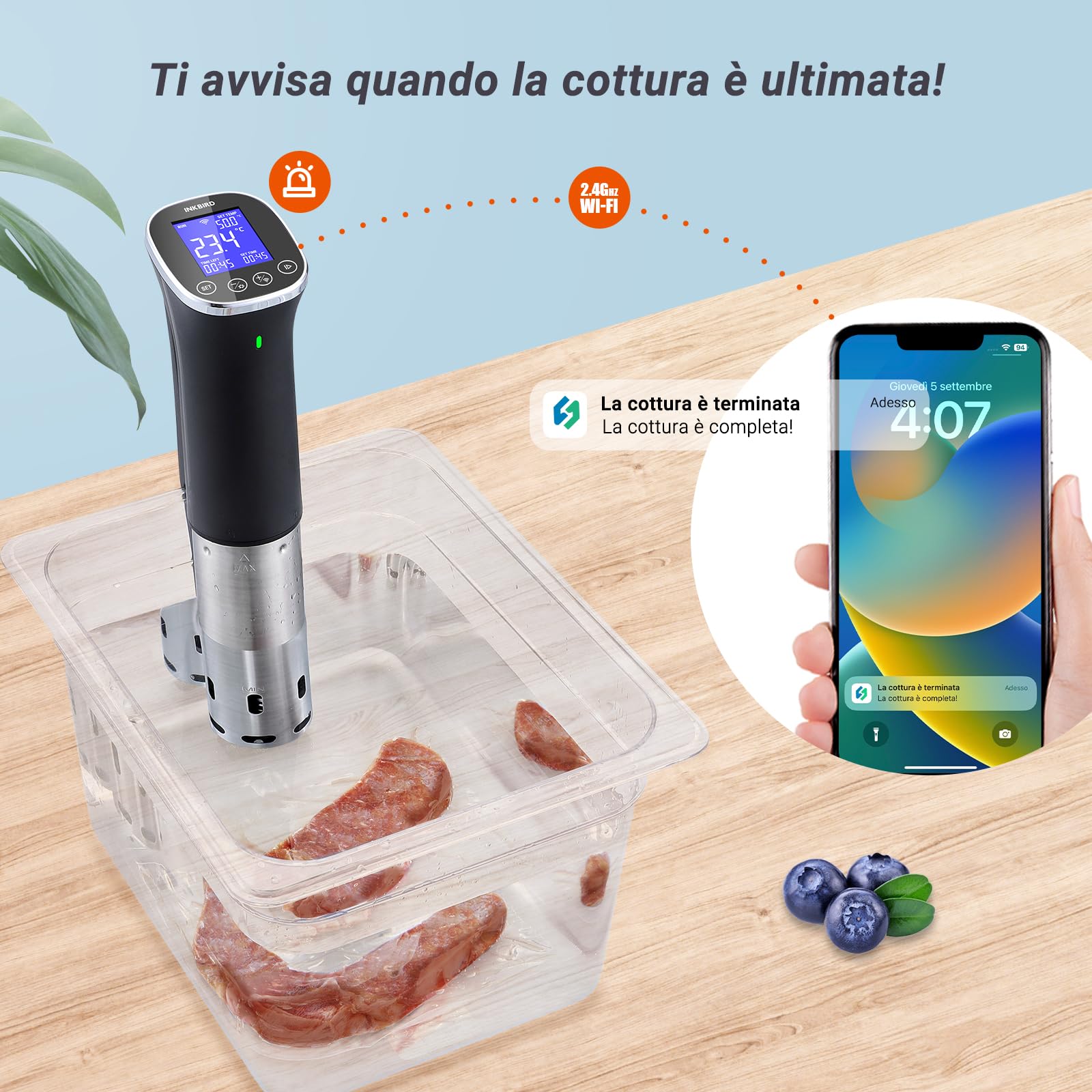 INKBIRD ISV-300W Wifi Sous Vide Roner 1000W IPX7 0-90°C
