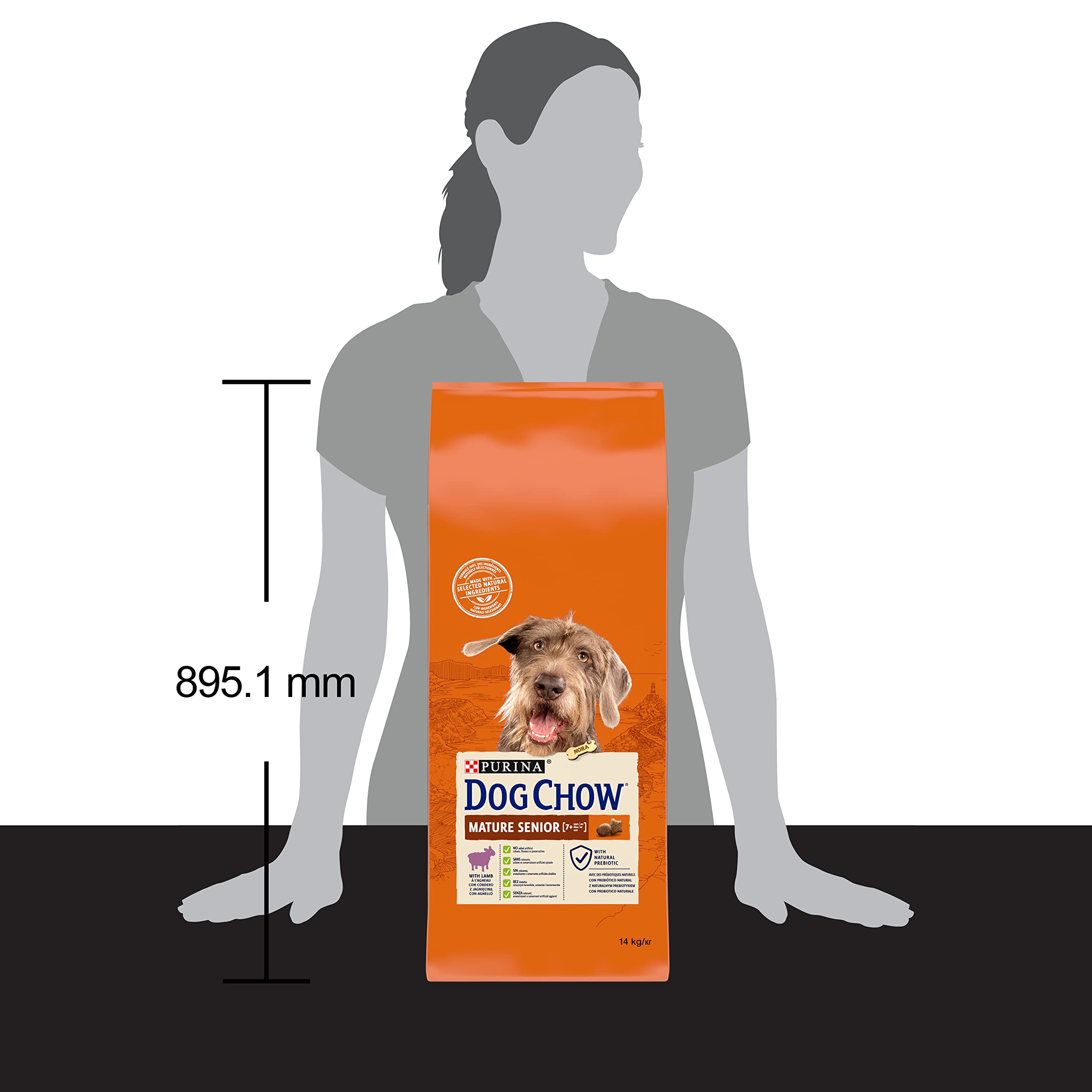 Purina Dog Chow Mature & Senior Croccantini Chiens avec Agneau 14 kg