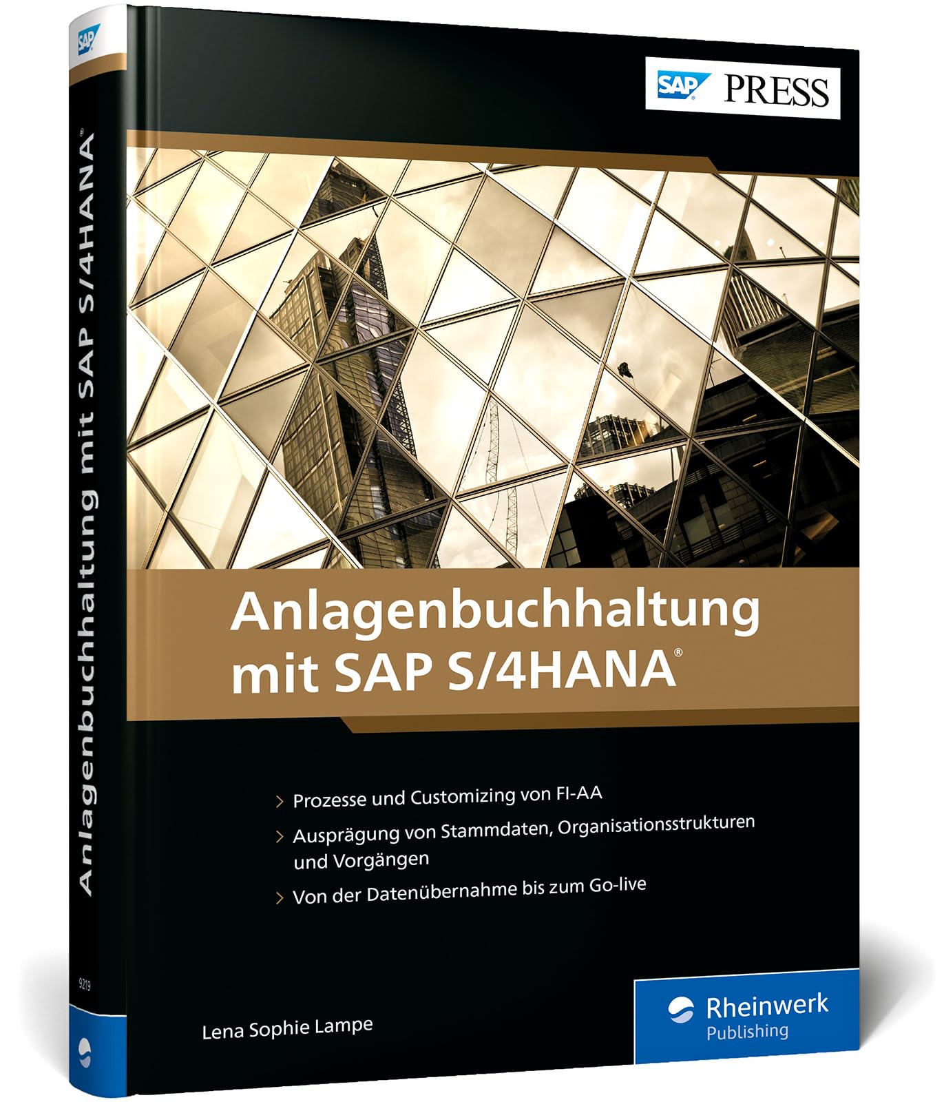 Anlagenbuchhaltung mit SAP S/4HANA: Ihr Wegweiser für FI-AA: Das neue Handbuch zur Anlagenbuchhaltung (SAP PRESS)