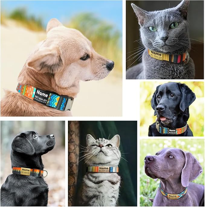 Collar para perro grabado personalizado - 6 estilos para mascotas pequeñas miniatura 6