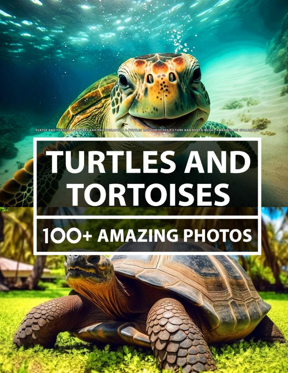 Turtle Pictures and Photography - A Turtles Picture and Photo Book - Amazing Big Collection: 100+ Amazing Pictures of Turtles in this Beautiful Turtle