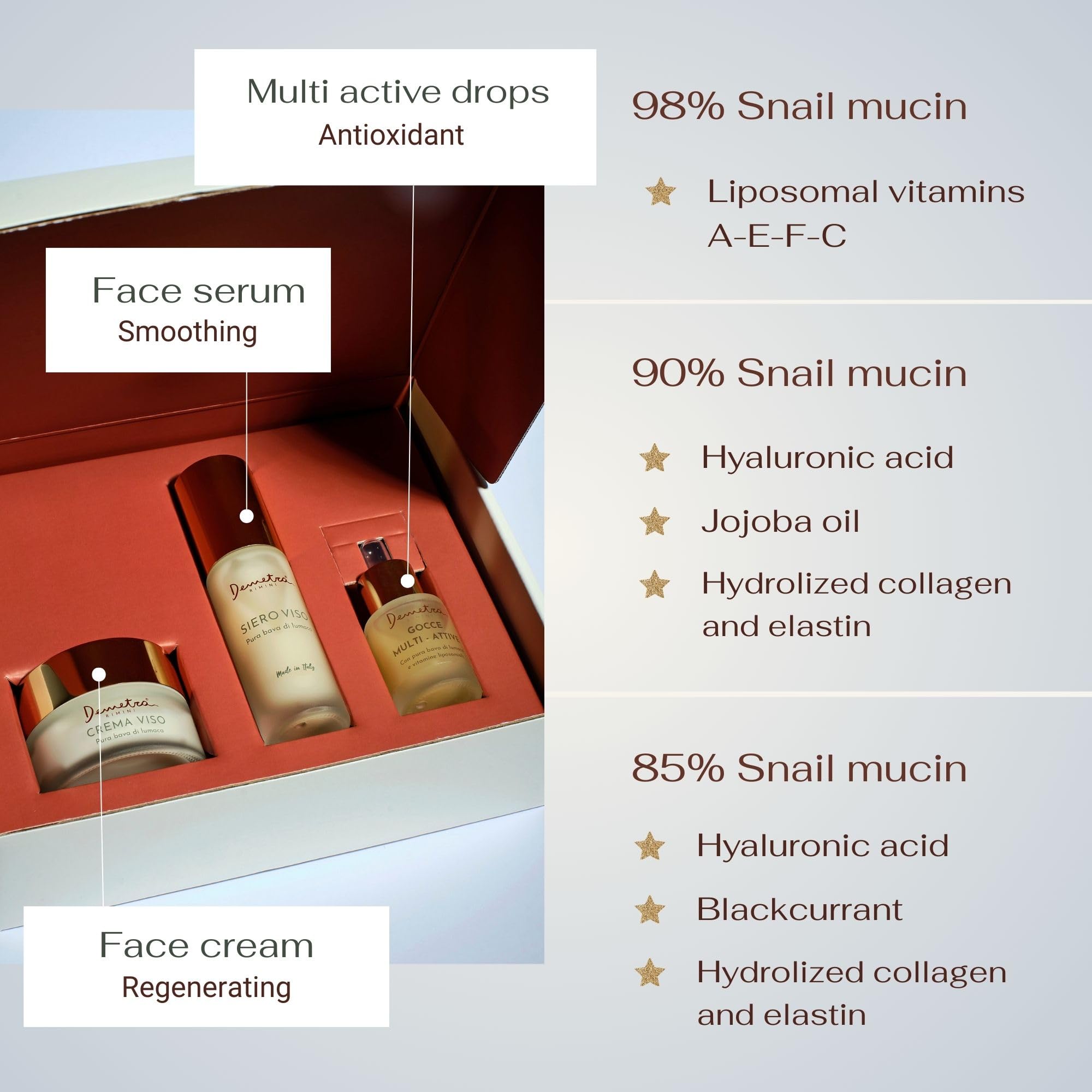 Demetra Gesichtspflege Set 3 in 1 – Gesichtscreme 85%, Gesichtsserum 90% und Multiaktive Tropfen 98% mit Schneckenschleim – Hyaluronsäure & Vitamine A-E-F-C – Anti-Aging Hautpflege