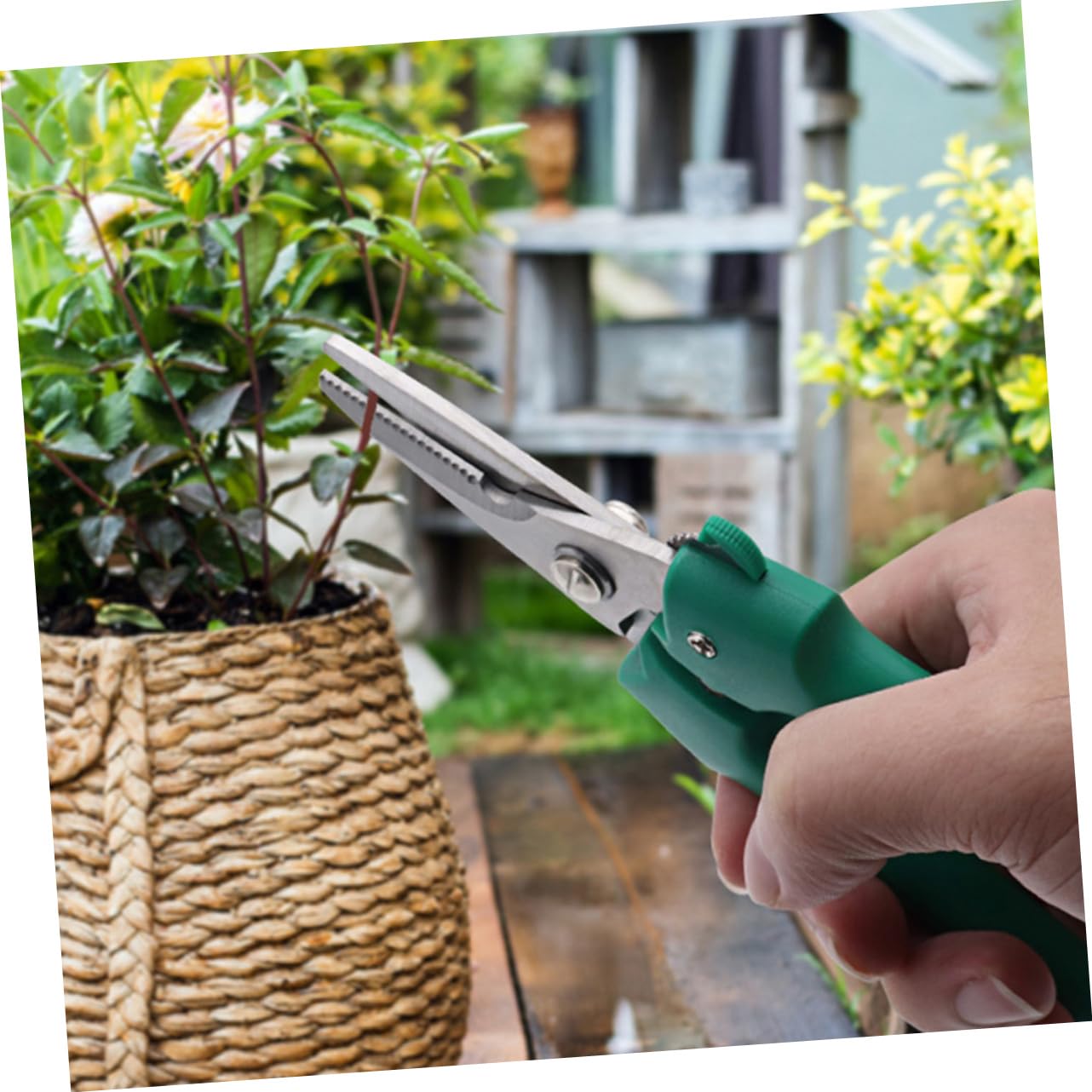 TOYANDONA 2 Piezas Tijeras De Podar Jardinería Tijeras De Rama Cortador De Uva Corte Tijeras De Arbustos Tijeras Para Podar Plantas Tijeras De Jardín Acero Inoxidable Verde