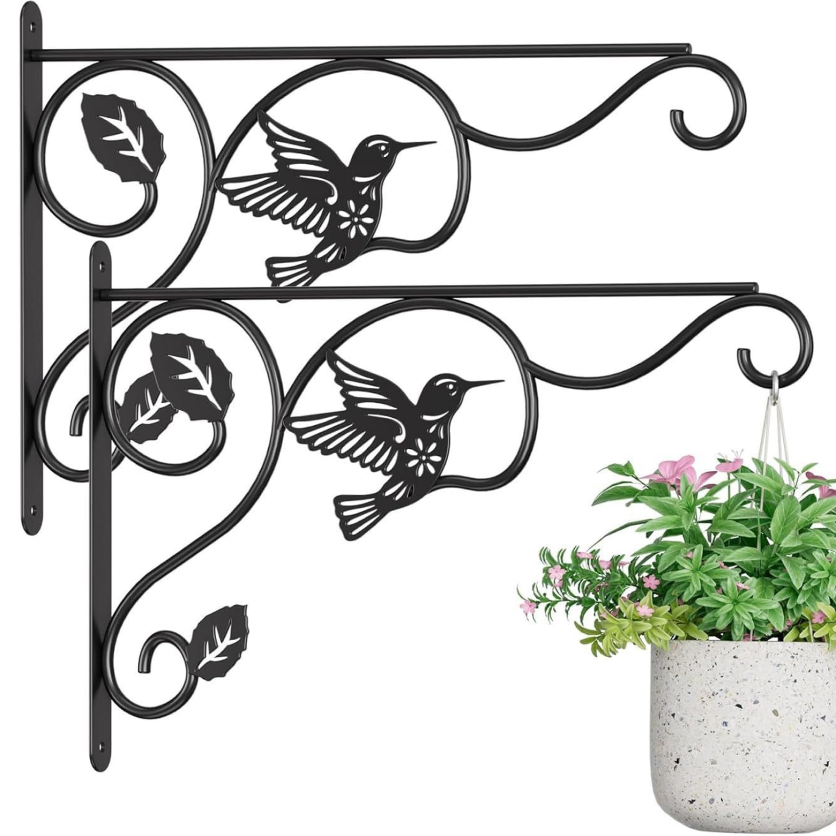 Crochets métalliques 12x9 et cintres pour plantes suspendues au mur