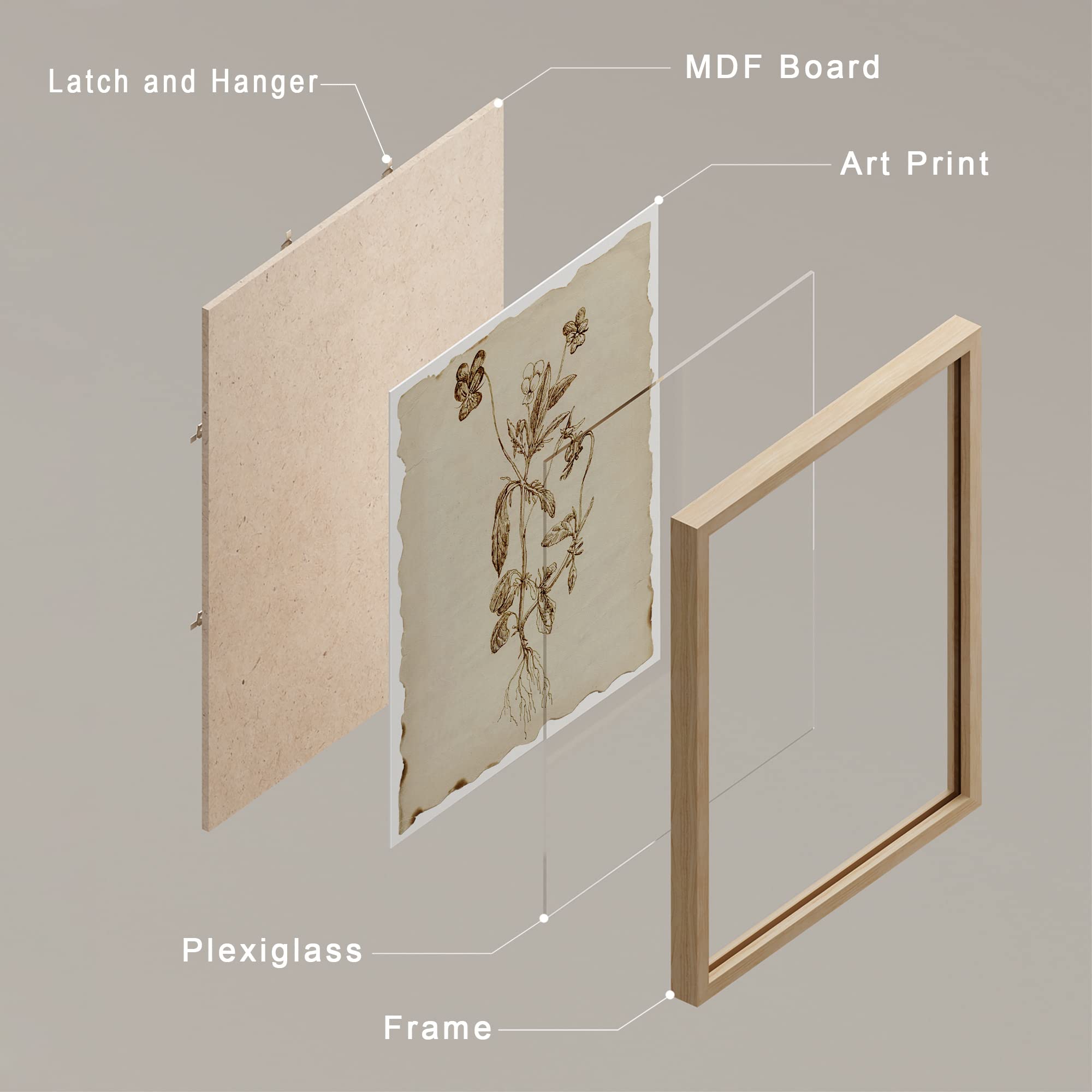Amazon.com: SIGNWIN Framed Sepia Vintage Classic Flower Wall Art