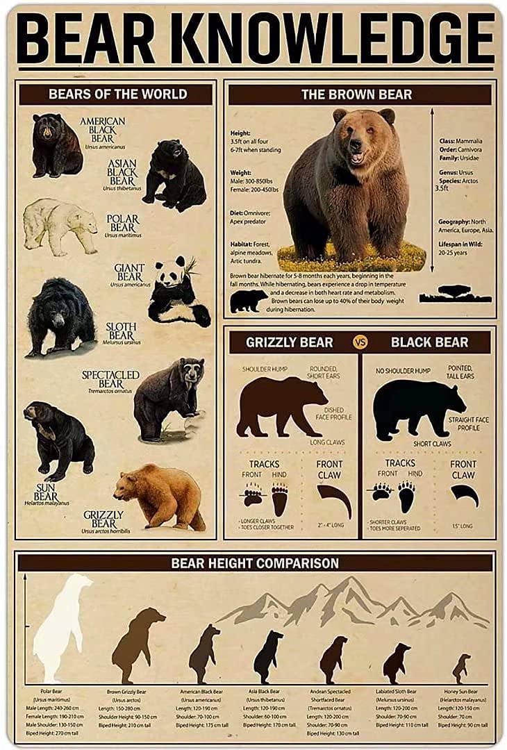 rayprint Bear Knowledge Aluminum Metal Tin Signs Bears Of The World Posters Guide Chart Plaques For Bar Restaurant Cafe Living Room Home Art Wall Decor 12x16Inches