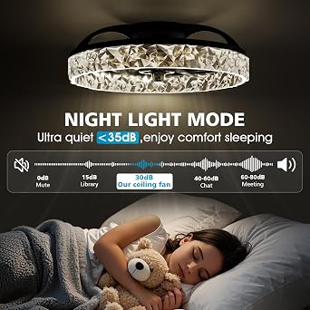 NIORSUN 40CM LED Ceiling Fan with Lights and APP Remote, 3000K/4500K/6000K Stepless Dimmable Low Profile Ceiling Fan, Flush Mount Ceiling Fans,6 Speeds Ceiling Fan Light for Bedroom Living Room（Black） [Energy Class C]