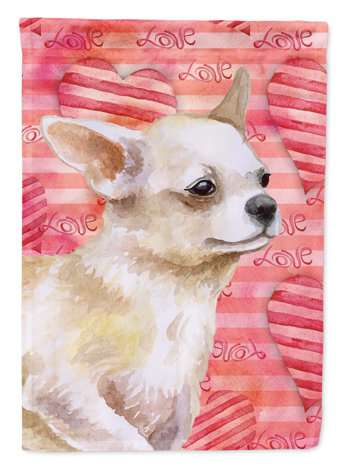 Drapeau Chihuahua en toile pour sublimer l'entrée de votre maison et cour