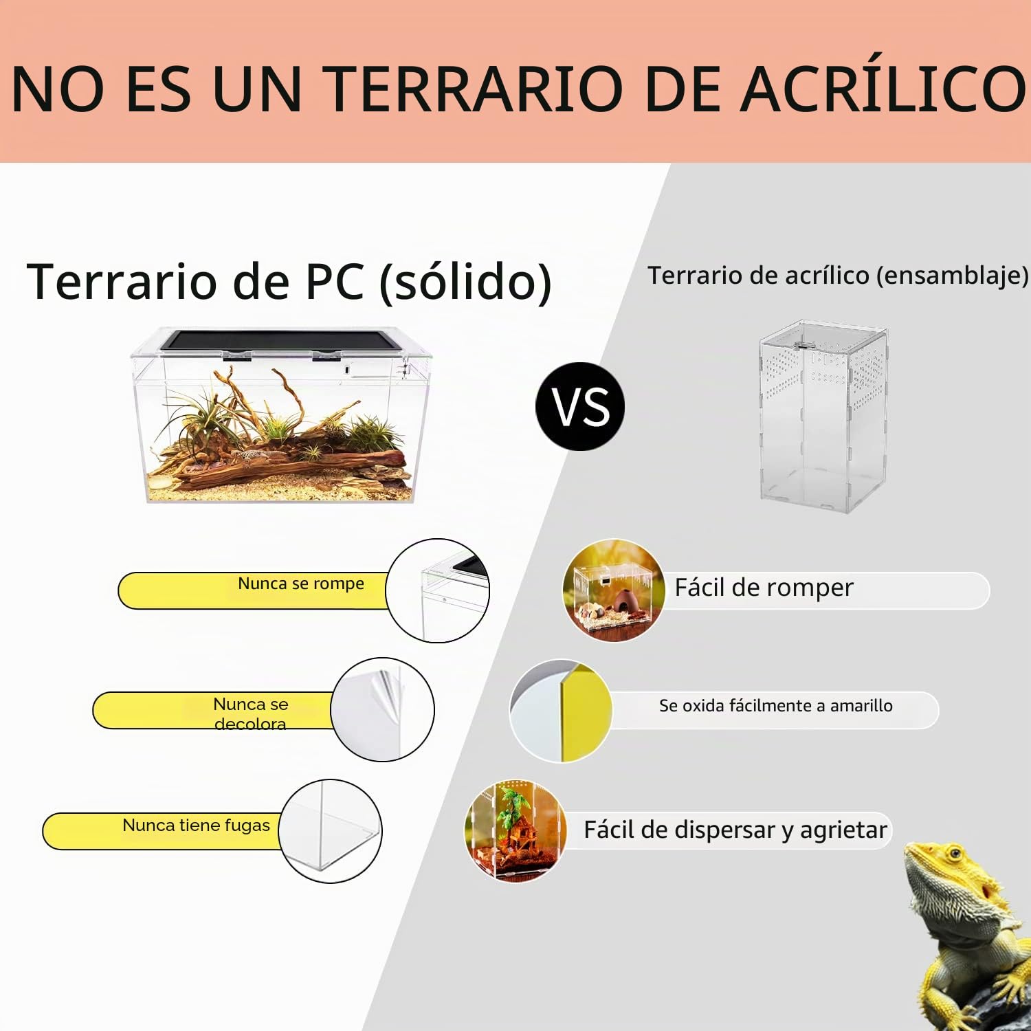 Reptile Growth Kit de terrario para reptiles, tanque de reptiles de 10 galones, 20x10x11 pulgadas, cuenco de agua para alimentos, terrario reptil para gecko ermitaño cangrejo dragón barbudo lagarto