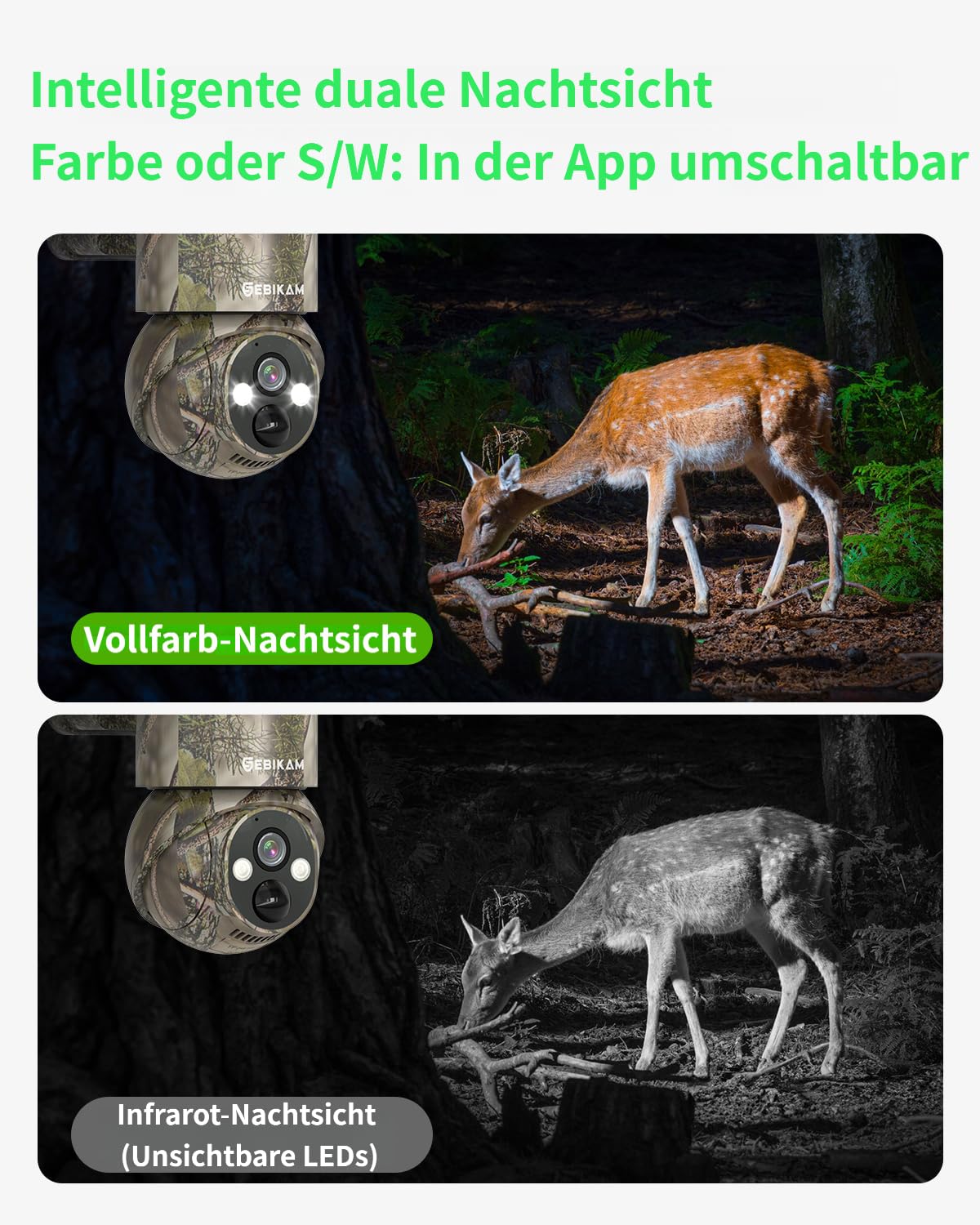4G LTE Wildkamera mit SIM Karte Solar