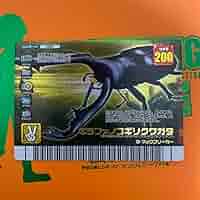 PSA10　ギラファノコギリクワガタ　フォレストグリーン PSA10 ギラファノコギリクワガタ フォレストグリーン｜Yahoo