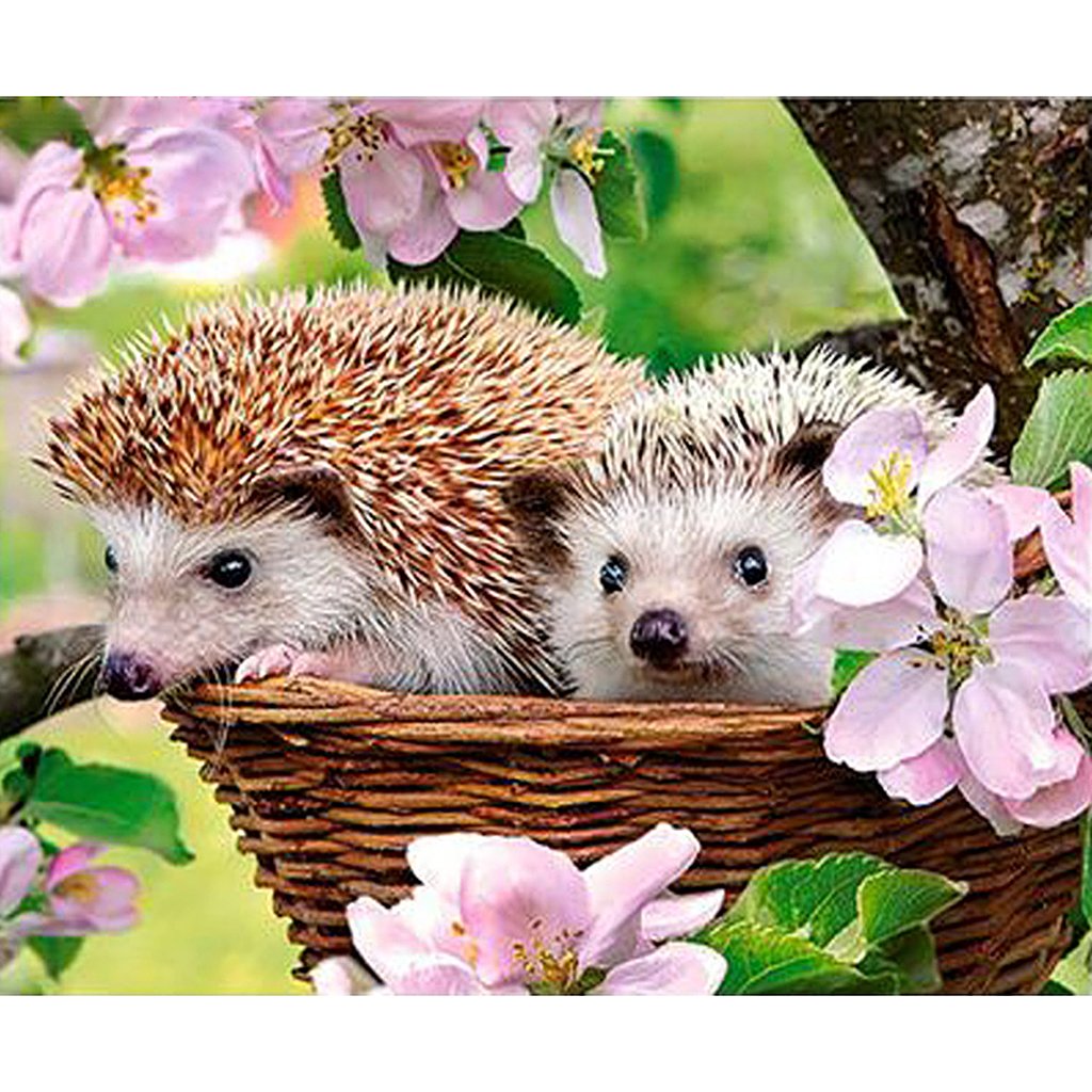 JAGENIE DIY Diamond Full Drill 5D Hedgehog Pattern Painting Cross Stitch Home Decor Gift 35x30CM