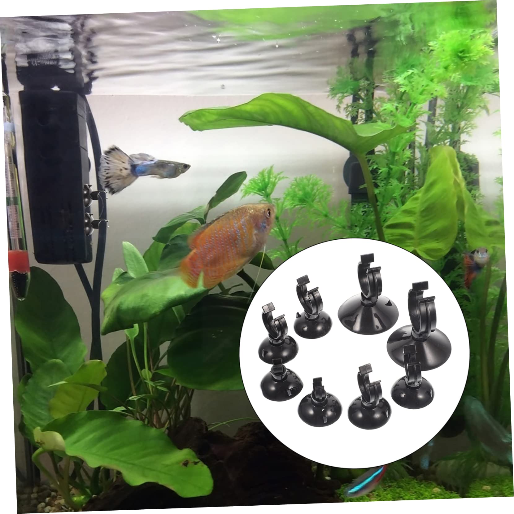 Happyyami 80 Piezas Hebilla De Ventosa para Pecera Soporte De De Línea Aérea Soporte para Ventosas De Acuario Ventosa Fija para Acuario Soporte De Ventosa De Agua Abdominales