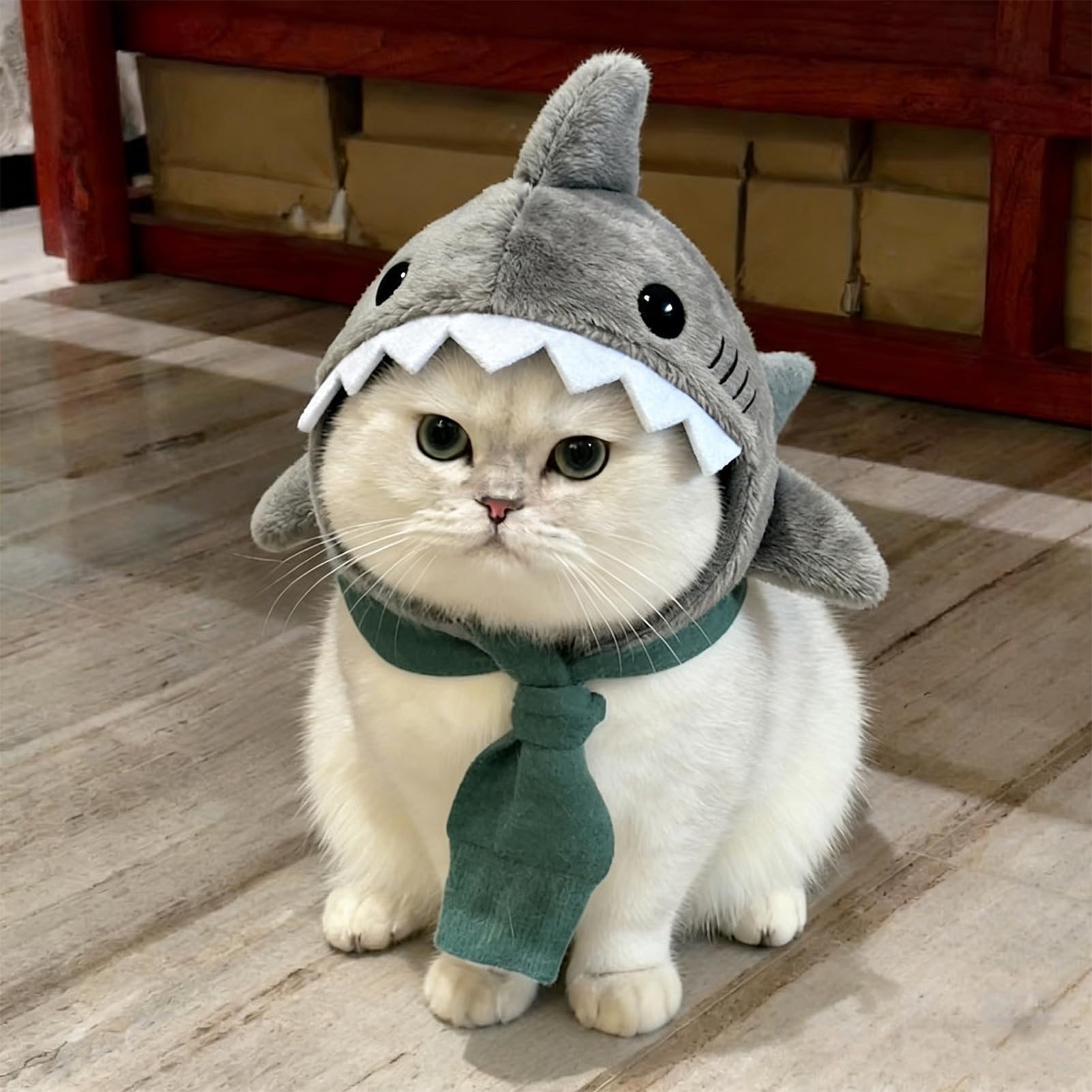 Mignon chapeau de chat - Accessoire de vêtements chaud réglable en forme de requin pour chaton - Bonnet de requin de chat - Pour déguisement fête cosplay événements
