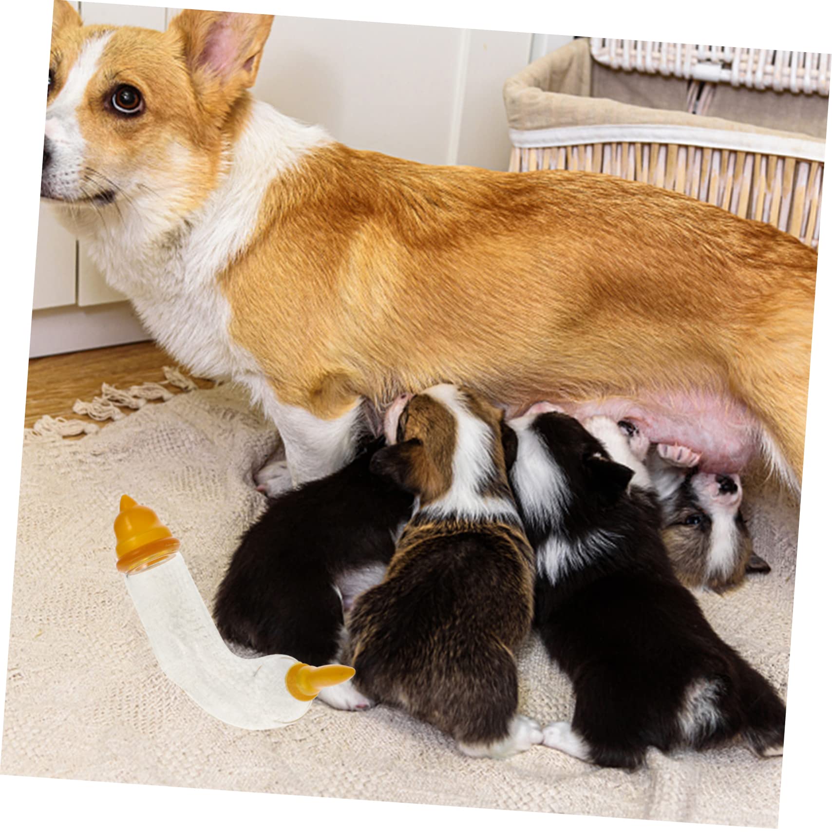 POPETPOP 4 Set per Animali Domestici Neonati Tettarelle Multifunzione per Gatti Sicure per Gatti Alimentatore per Gatti