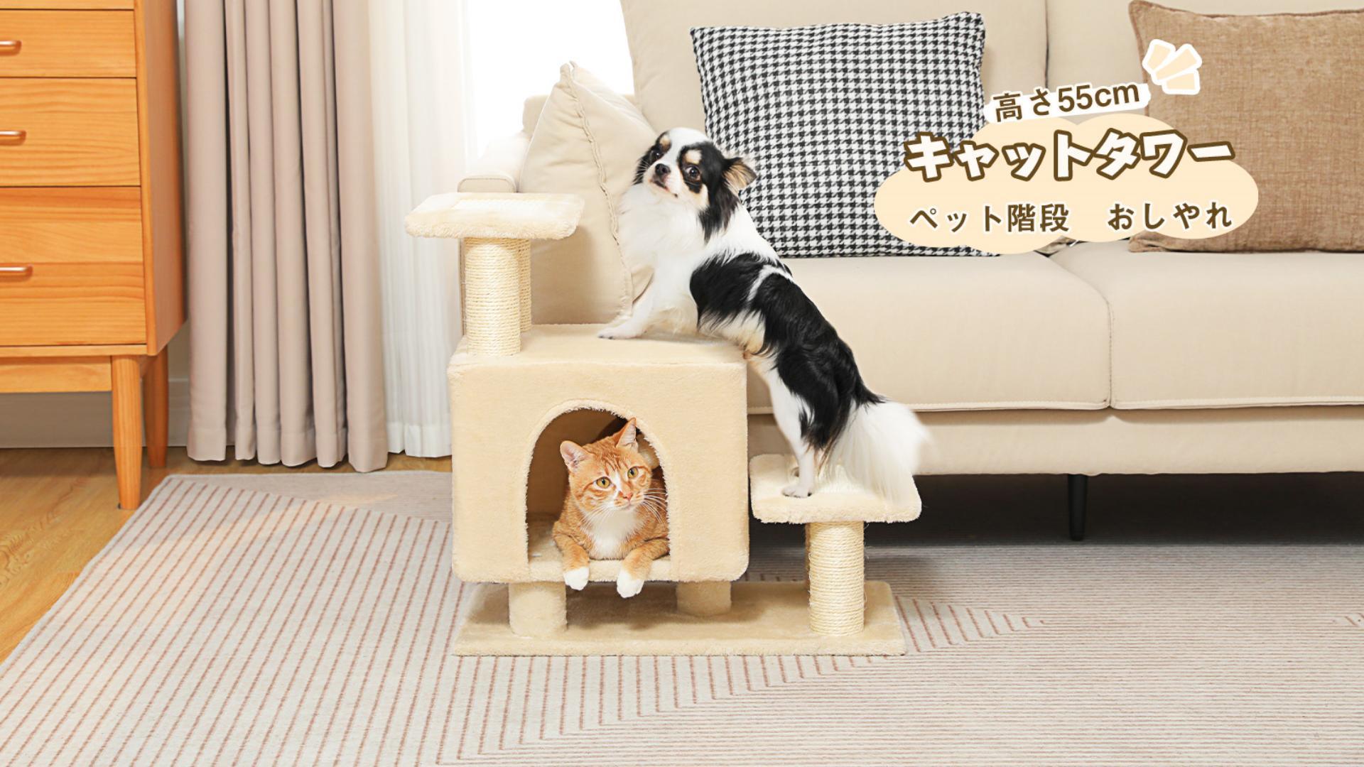 Amazon | PAWZ Road キャットタワー ミニ 低い 犬 ペット 階段 猫