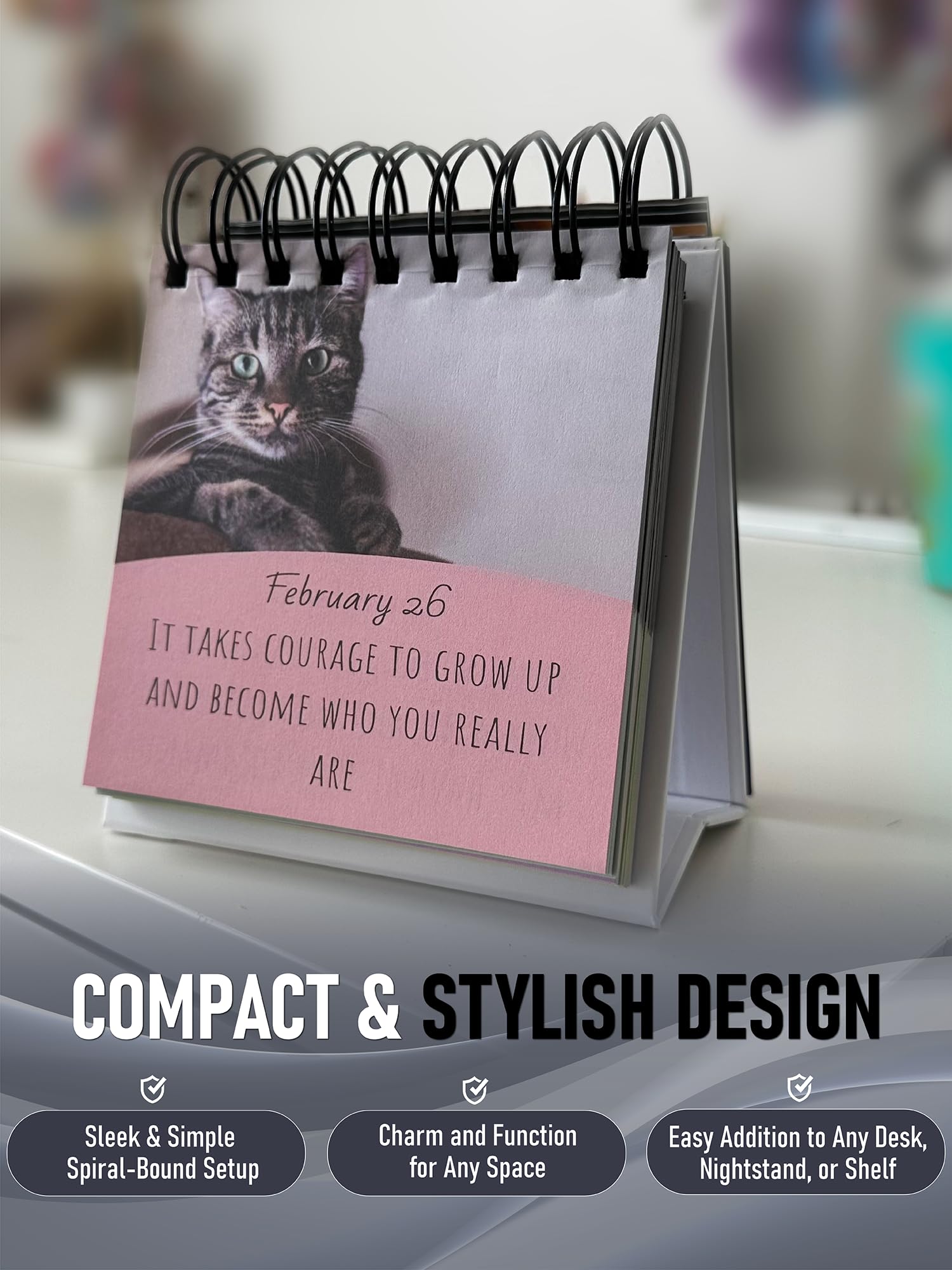 Calendario motivazionale giornaliero con gatti - 365 citazioni riutilizzabili e adorabili foto di gatti per positività tutto l'anno - Calendario da scrivania per amanti dei gatti, appassionati di