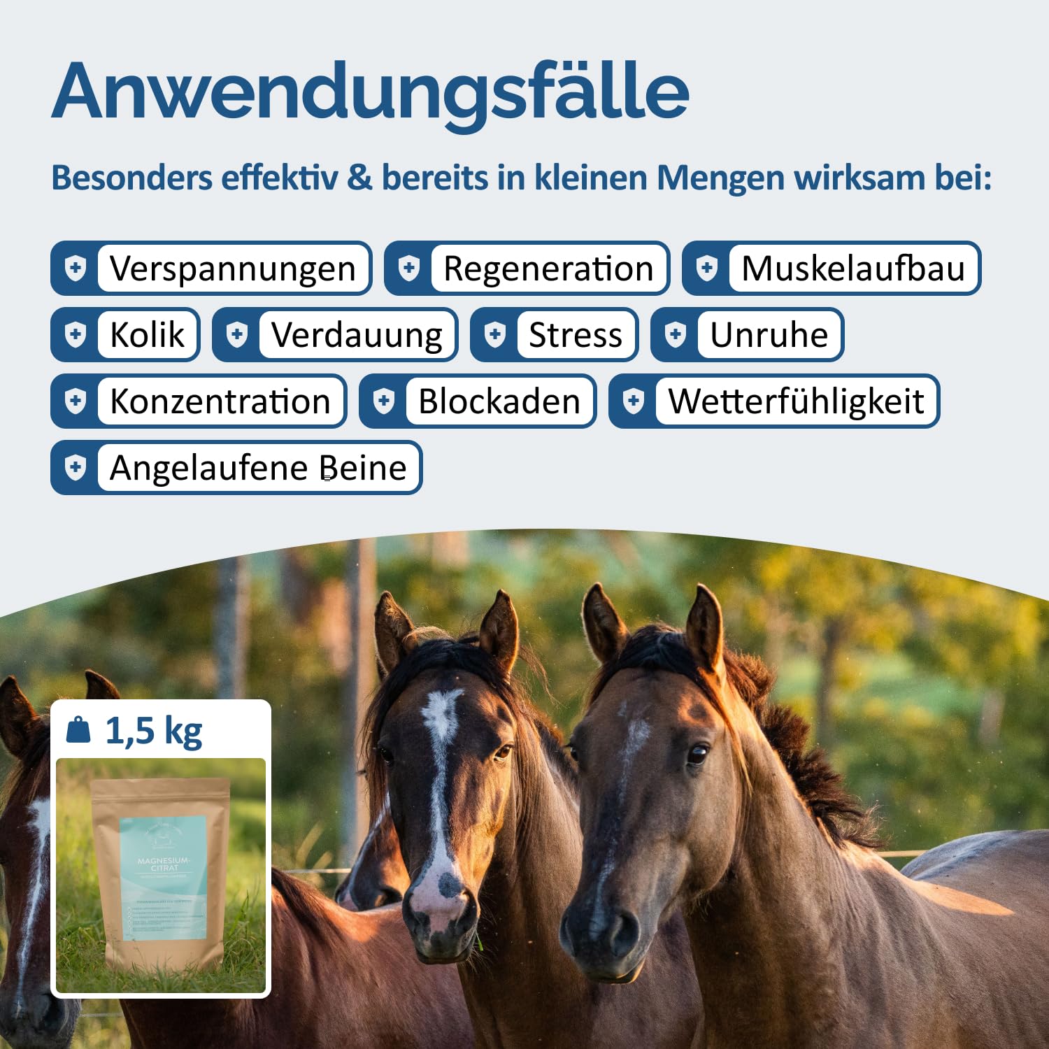 The Horse Vitality Company Magnesiumcitrat für Pferde 1,5kg | Muskeln, Nerven, Stoffwechsel & Konzentration | hochdosiertes Pulver | 100% natürlich, 0% Zusatzstoffe | Made in Germany