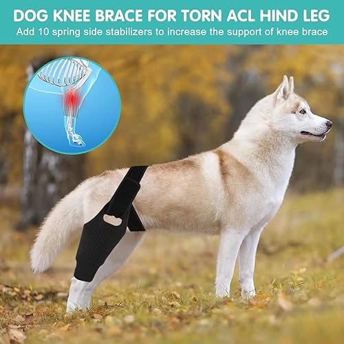 Miniatura 5 de Rodillera para perro para lesiones de ligamento cruzado anterior y ligamento  Soporte ajustable para la pierna trasera y envoltura de compresión