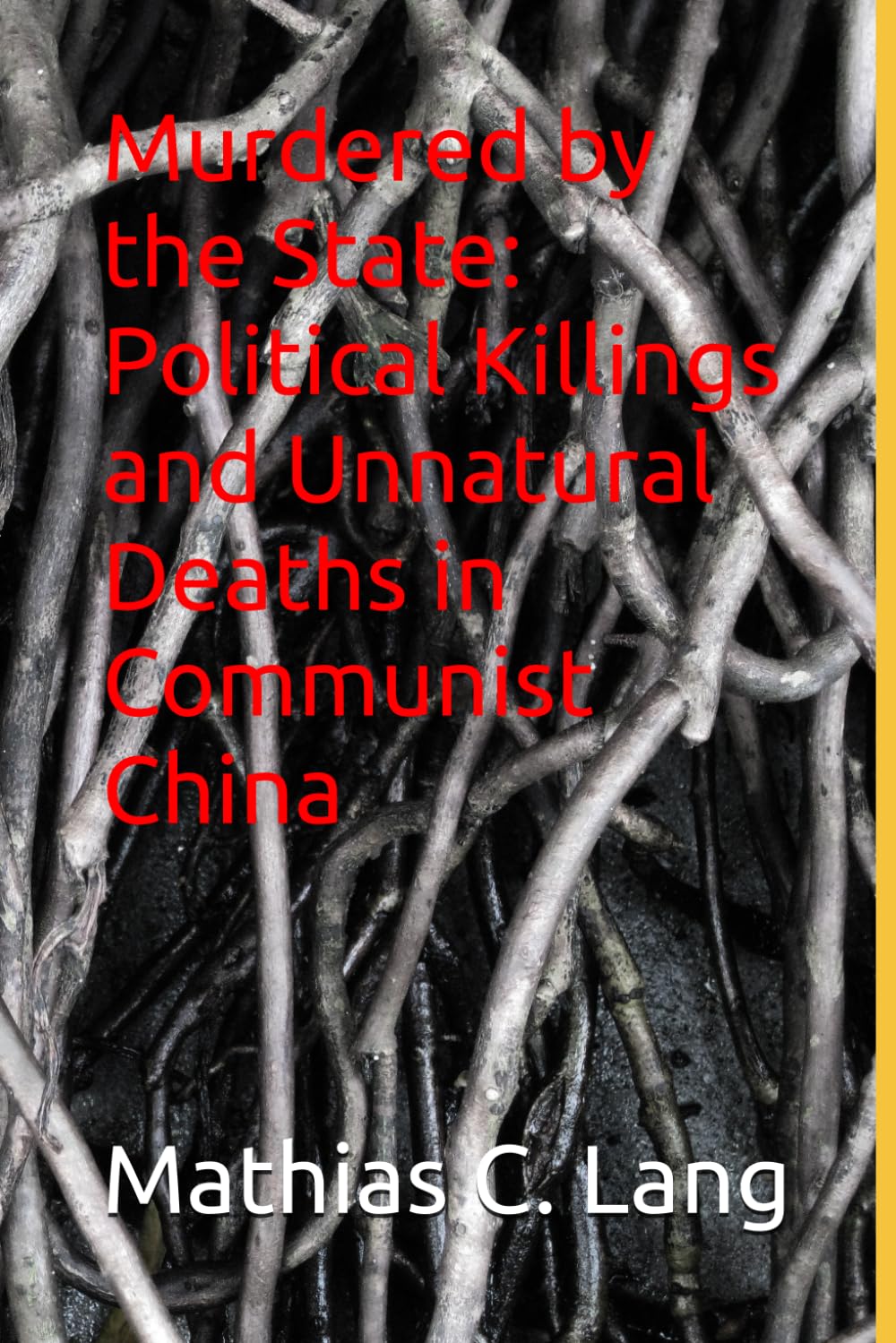 Murdered by the State: Political Killings and Unnatural Deaths in Communist China