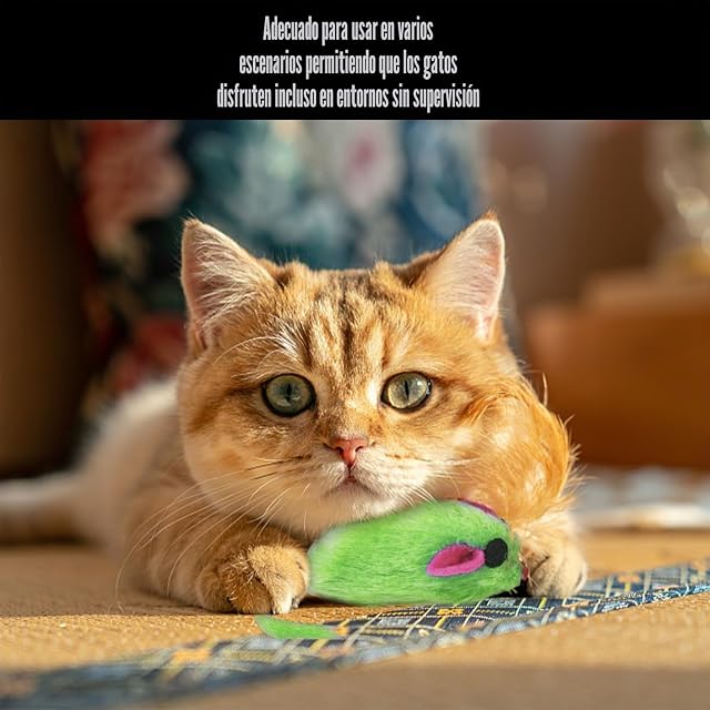 Foto 6 de 6 de HDGSAFD 15 Divertidos Juguetes para Gatos, Interesantes Juguetes De Peluche para Gatos Y Ratones