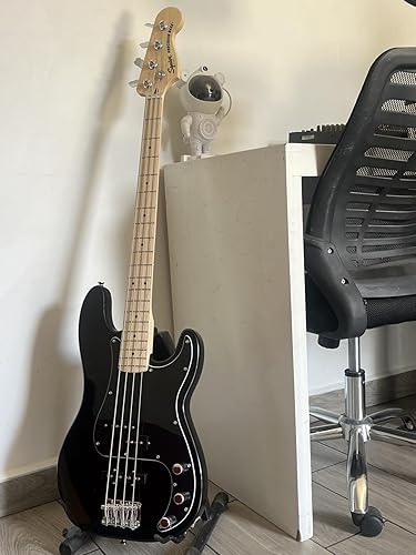 Series Traditional GATOR ブラック　指板エボニー風染め加工　ハードケース付き PJ Squier Wood TOD10N Henson Tim Ibanez for Case ベース