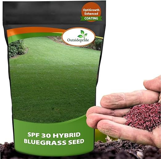Outsidepride SPF-30 Hybrid Bluegrass Seeds - 25 lbs. Heat & Drought Tolerant, Texas Bluegrass & Kentucky Bluegrass Seed Mix for Challenging Climates, OptiGrowth Coated for Better Establishment