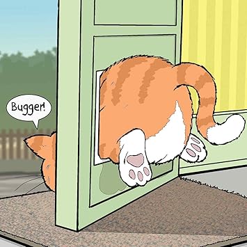 cat flap blanking plate