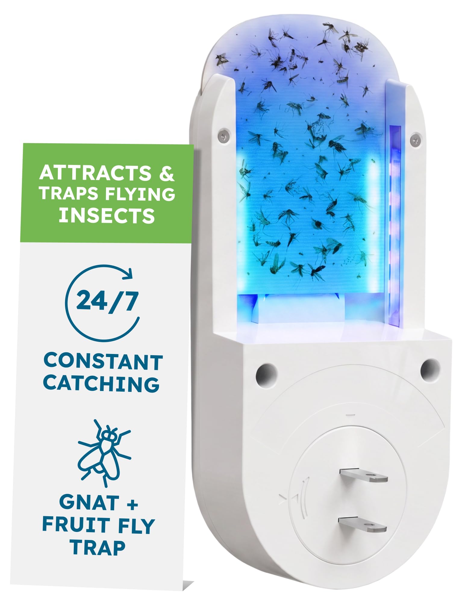 Amazon.com: BugMD No Buzz Zone Fruit Fly Traps for Indoors with