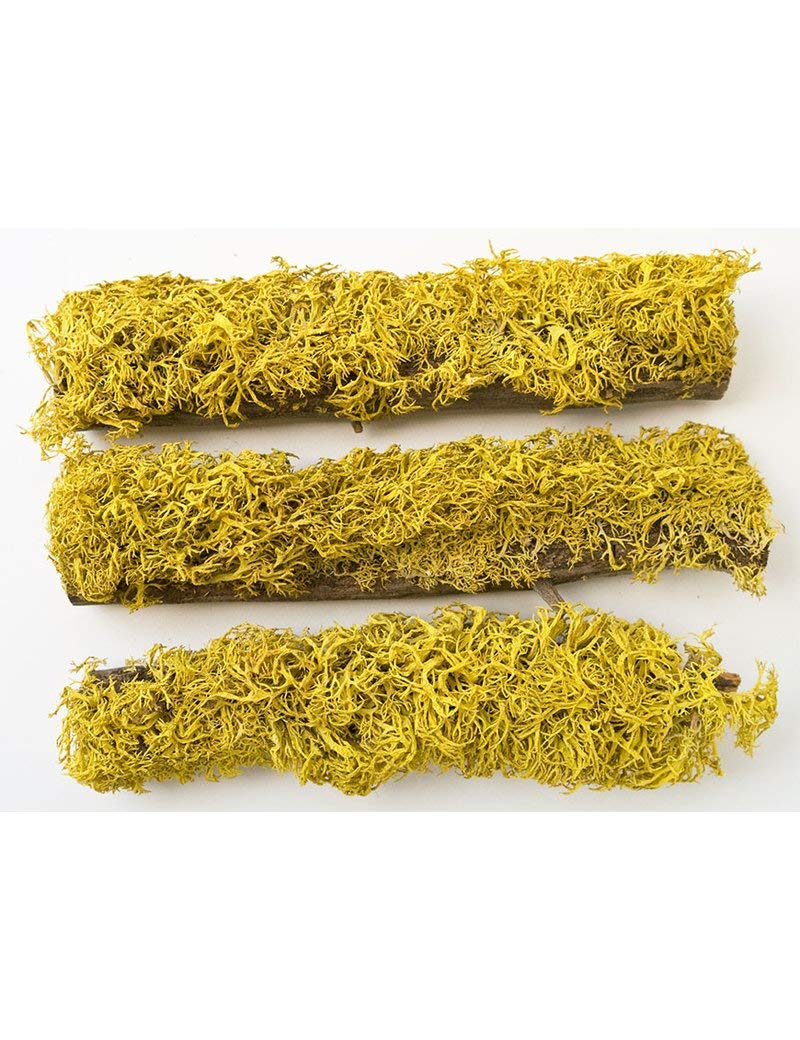 T-Rex Reptiles Terrarium Décor - Terra Accents Lichen Stick