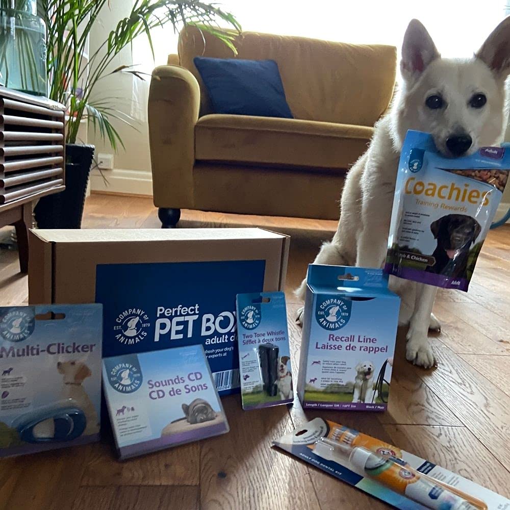 Company of Animals El Kit de Entrenamiento para Perros; con 6 Productos de línea de recuperación de 5 m; Silbato, Entrenamiento de clicker para Perros; golosinas de Entrenamiento de Entrenadores de