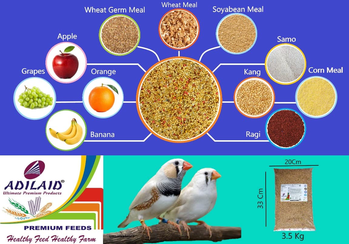ADILAID Premium Small Bird Feed (3.5 Kg) (B08TMB42DD) Amazon Price History, Amazon Price Tracker