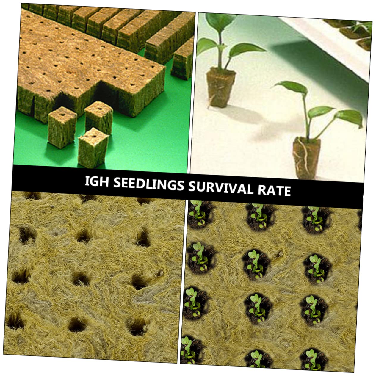 Didiseaon 2 Set Blocco di Piantine Blocco Fuori Suolo Idro Blocco di Coltivazione Spine Cubetti di Coltivazione Fuori Suolo Blocco Agricolo Lana di Roccia 100 Pezzi * 2