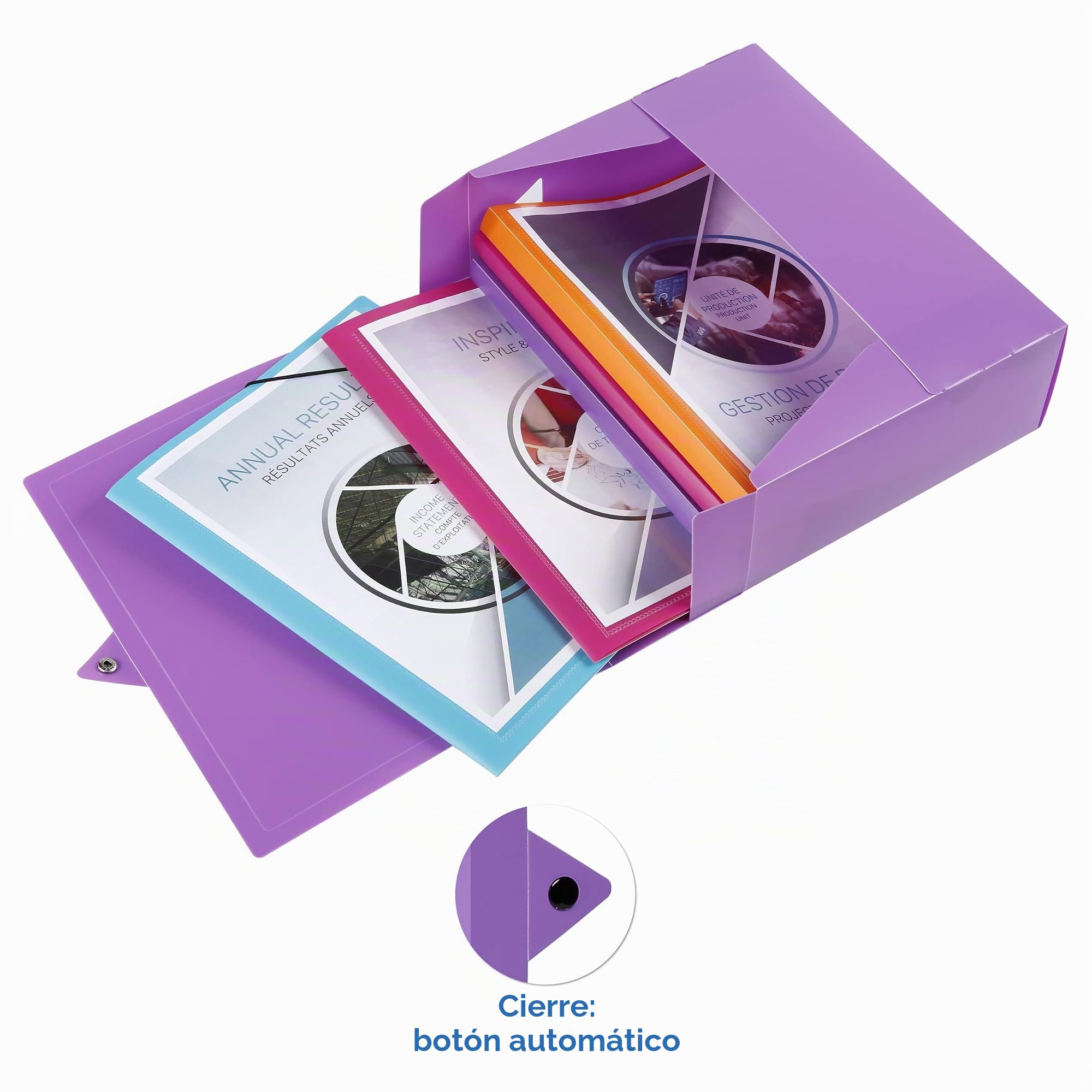 Viquel - Juego de 6 cajas de archivo de plástico - 6 cajas archivadoras con cierre de botón a presión - Cajas de almacenamiento a juego - Parte trasera de 8 cm - Fabricado en Francia