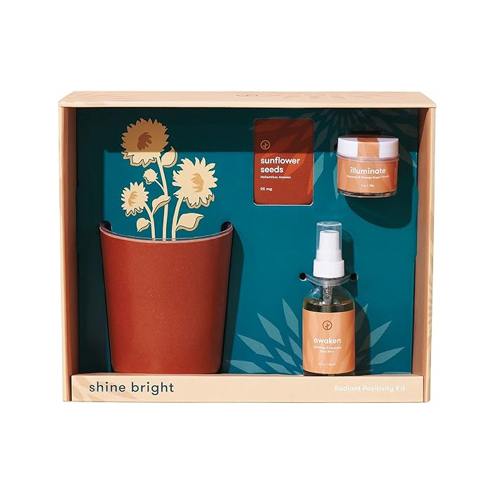 Buy Modern Sprout Shine Bright Radiant Positivity Sunflower Gift Set