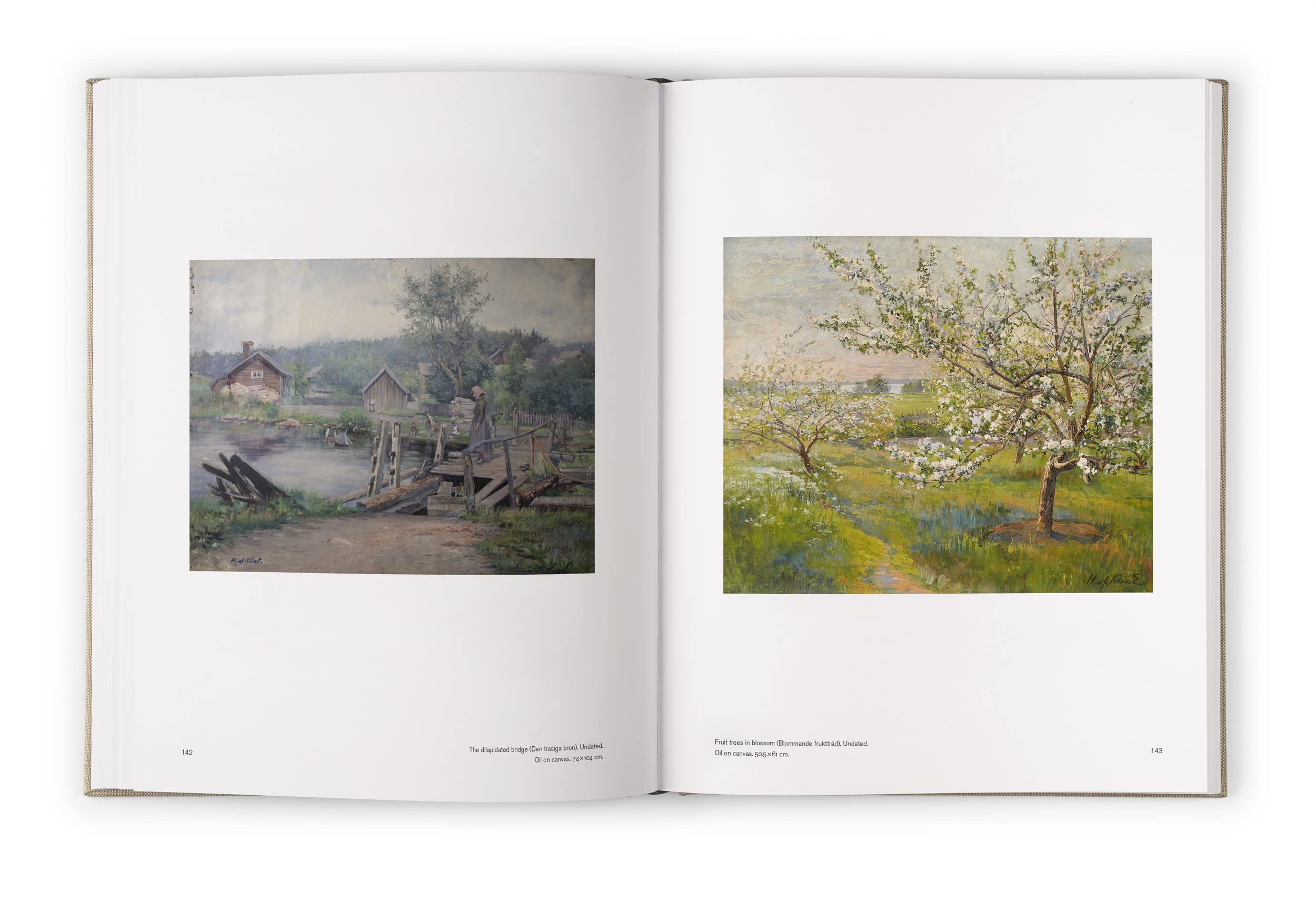 Hilma af Klint: The Landscapes, Portraits and Botanical Works (1886-1940) Catalogue RaisonnE volume
