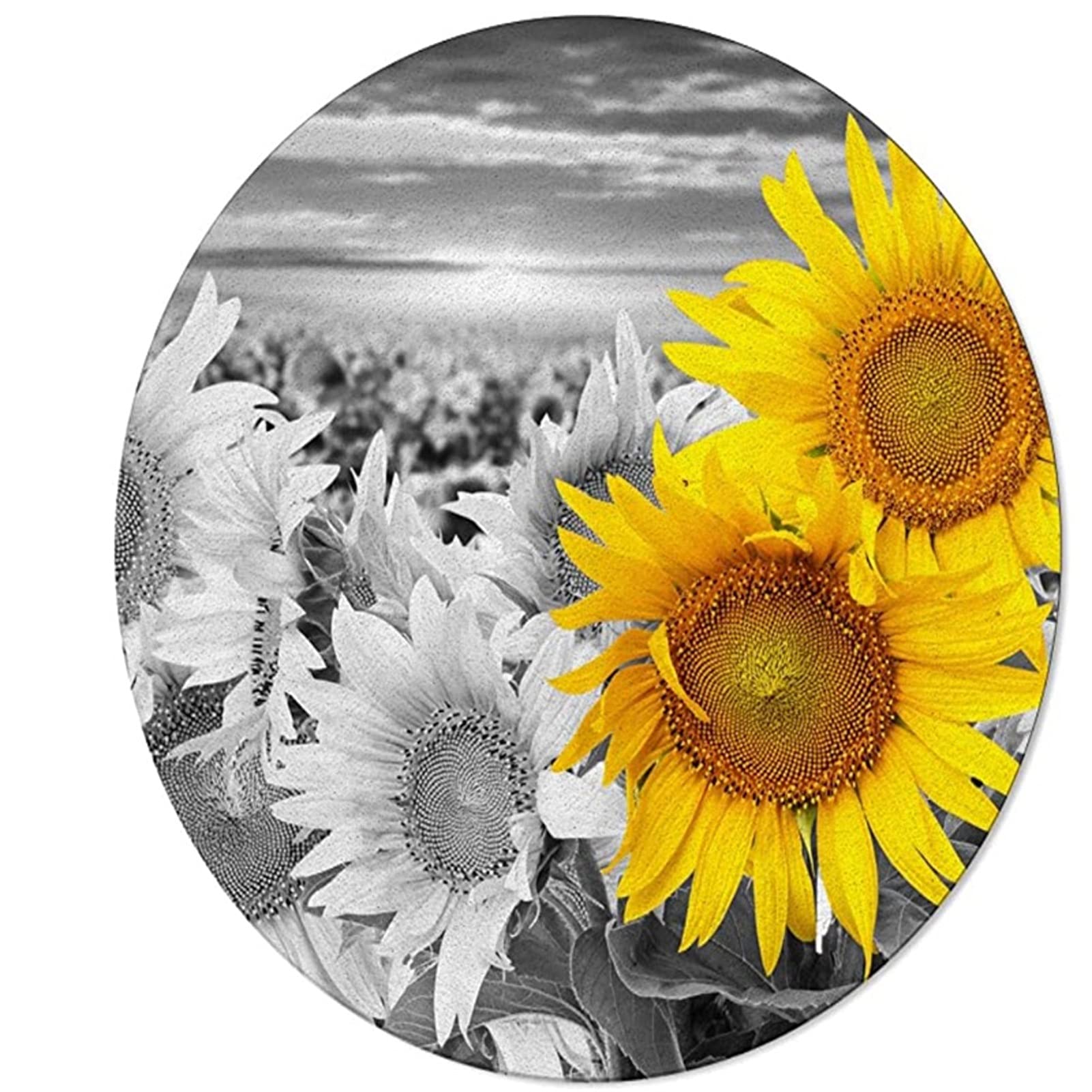 Tapis rond tournesol pour salon et extérieur DKSNAJ diamètre 160cm